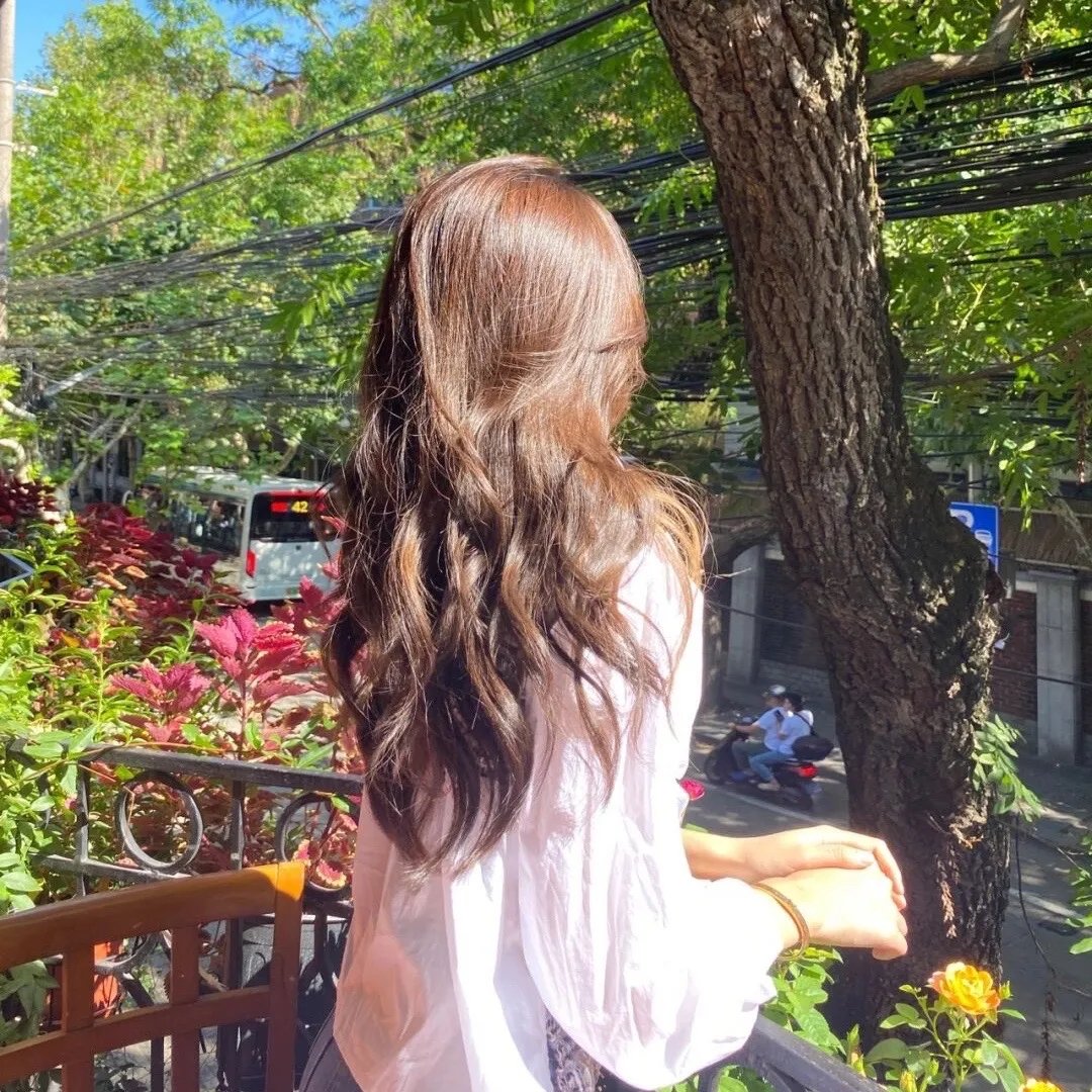 我们窃取秘密维基解密的故事